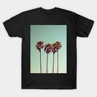 Palm trees, Tropical landscape palms, Sky, Nature print T-Shirt